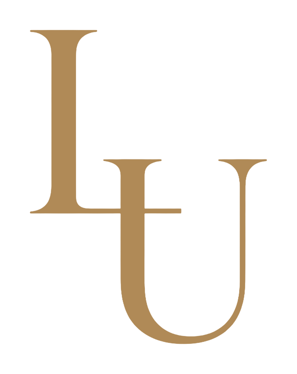 Level Up Homes